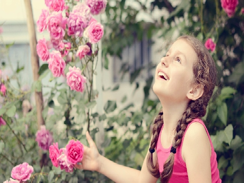 上海极爱试管费用，试管婴儿pkd